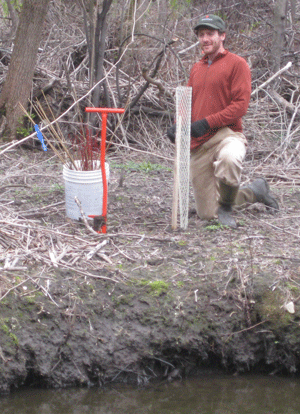 planting-MB