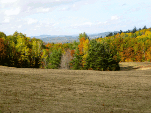 Views into Vermont from the Moister Meadow off Dogford Road