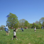 Kite Day 2014