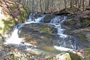 Slade Brook Hanover Conservancy