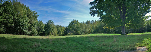 Balch Hill easterly viewshed