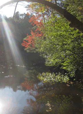 Sunlight shimmers on Storrs Pond near the Rinker-Steele parcel