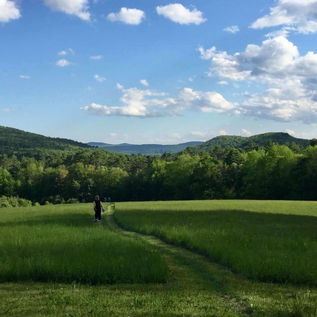 A mowed path winds through green fields at Hudson Farm