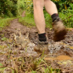 Hiking boots walking along muddy Kuilau Ridge Trail, Lihue-Koloa Forest Reserve, Kauai, Hawaii
