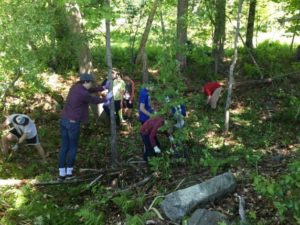 middle school student group clearing brush
