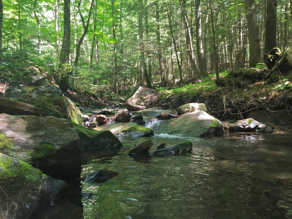 Cascades at Slade Brook