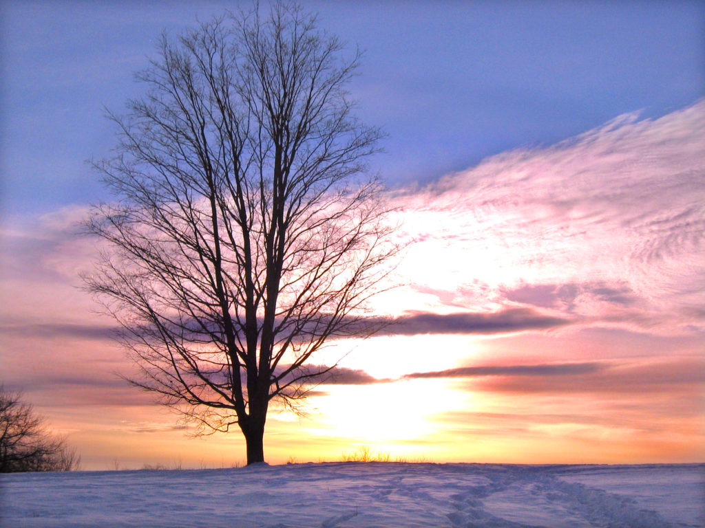 Balch Hill sunset in winter. Photo by Rob Chapman