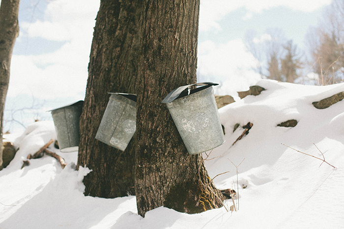 On Tap: Maple Sugaring in New Hampshire