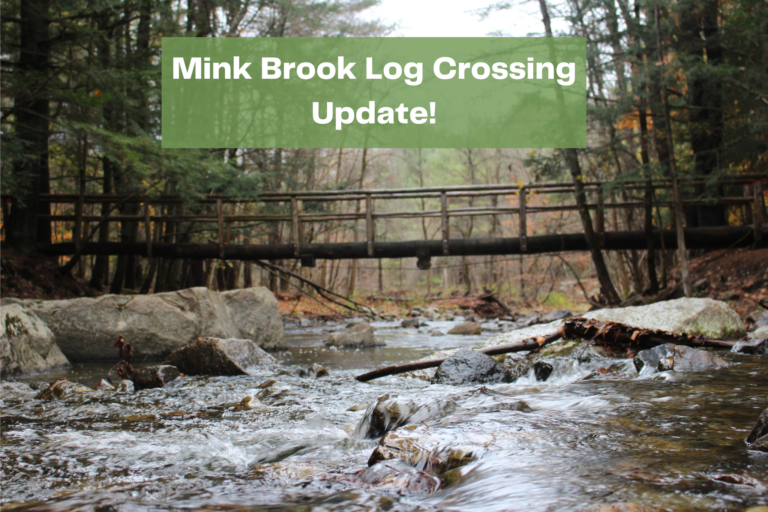 Mink Brook log crossing repair