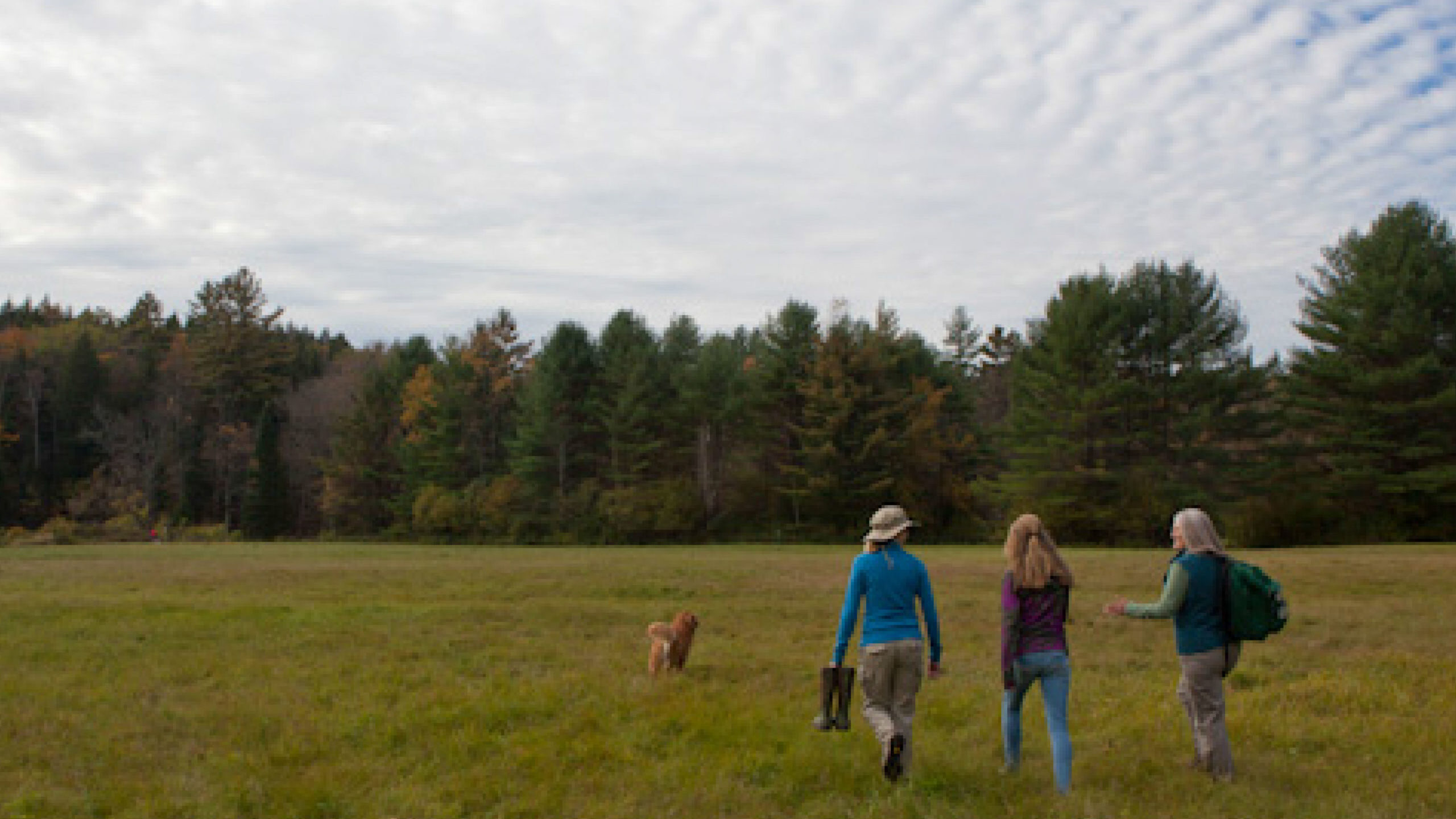 3 people in a meadow
